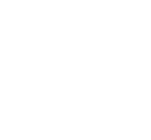 Bar Nuevo Oslo